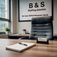 B & S Staffing Solution logo - Similar company to Sakariya Manufacturing Resources