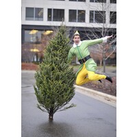 Santa's Tree Delivery logo - Similar company to Eidecom