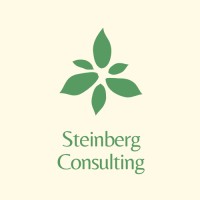 Steinberg Consulting logo - Similar company to Thestreet.Com
