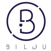 Bildu Company logo - Similar company to Bildu Ai 🧞 (By Tich)