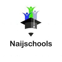 Naijschools logo - Similar company to Beingkoder (The Online Coding School)