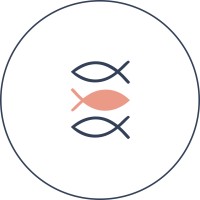 Catholic Student Network logo - Similar company to Monastic Order