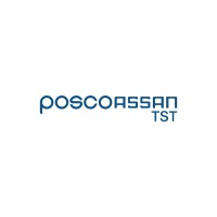 POSCO ASSAN TST logo - Similar company to Posco