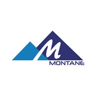 MONTANE SHIPPING PRIVATE LIMITED logo - Similar company to Oceanus Maritime