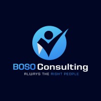 BOSO Consulting logo - Similar company to Exit-Sound