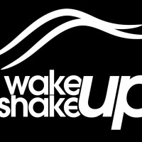 WakeUp ShakeUp SA logo - Similar company to Data-Led Insights