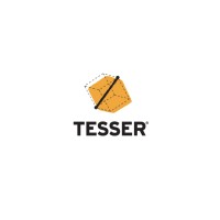 Tesser logo - Similar company to Tesserex