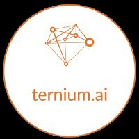 ternium.ai logo - Similar company to Mojo | Web Solutions, Llc
