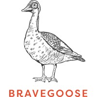 BraveGoose Ltd logo - Similar company to Archive-Vault Ltd