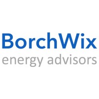 BorchWix Energy Advisors Ltd.