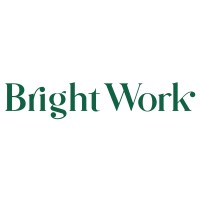Bright Work logo - Similar company to Big Idea, Inc.