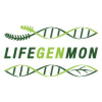 Lifegenmon logo - Similar company to Active Rainbow