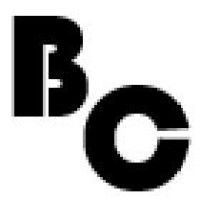 Bravium Consulting LLP logo - Similar company to Hyde Park Solutions