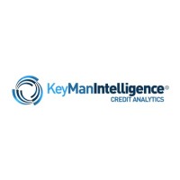 KeyMan Intelligence logo - Similar company to Swivelmeta