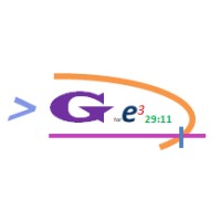 G For E3 29:11