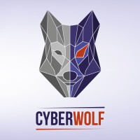 CyberWolf logo - Similar company to Fundacja We Are For U