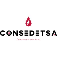 CONSEDETSA logo - Similar company to Expertos Erp