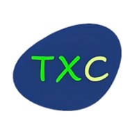 TXC Consultoria logo - Similar company to Txc