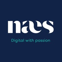 Naes consulting logo - Similar company to Naes Consulting S.R.L.