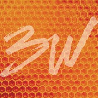 3W Studios logo - Similar company to Primegen Team