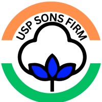 USP AND SONS FIRM logo - Similar company to Discovering Path