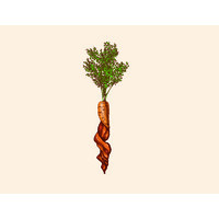 Plant Bacon Corporation logo - Similar company to Longevity Ventures