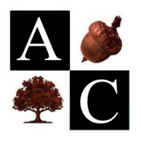 Acorn Capital Partners logo - Similar company to A Different Perspective
