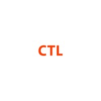 Civic Tech Leaders logo - Similar company to Civic Tech Consulting