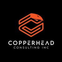 COPPERHEAD CONSULTING INC logo - Similar company to Skynet Security Systems