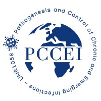 PCCEI logo - Similar company to Servicios E Insumos De Calidad