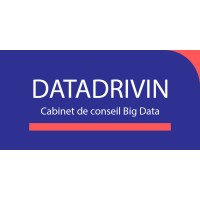 DATADRIVIN TECHNOLOGIES logo - Similar company to Datopia