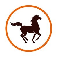 CHAABI LLD logo - Similar company to Ald Automotive Maroc
