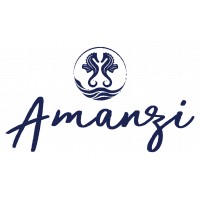 Amanzi Island Boutique Hotel logo - Similar company to Views Boutique Hotel & Spa