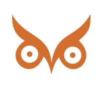 Overview Consultancy Services LLP logo - Similar company to Mthoughts Technologies