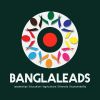 BANGLALEADS logo - Similar company to Fempire Studio