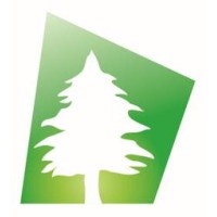 Cedars Automotive Intelligence