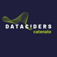 Dataciders Catenate logo - Similar company to Digital Sustainable Procurement & Supply Management