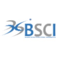 Blanco Silva Consultoría Informática - BSCI - logo - Similar company to Luis