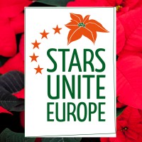 Stars for Europe logo - Similar company to Young Flowers A/S