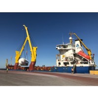 Avi International logo - Similar company to Curbside Bell (Curbsidebell)