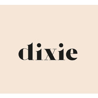 dixiefashion logo - Similar company to Visual Studiok