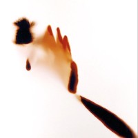 Gabriel Lacomba Visual Art logo - Similar company to Visual Art & Design B.V.