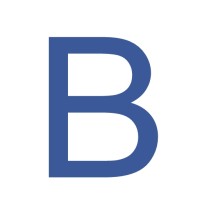 BusinessNetworks.in logo - Similar company to Brightlyhire