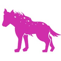 Hyena Digital logo - Similar company to Pinwheel Digital