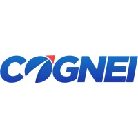 Cognei Consulting GmbH logo - Similar company to Pg3 Consulting Gmbh - 💯Sap Ewm Consulting