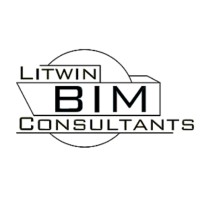 Litwin Bim Consultants