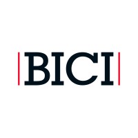 BICI Solutions logo - Similar company to Labyrinth Ltd.