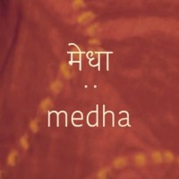 Medha logo - Similar company to Basant India Inc