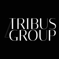 TRIBUS Group logo - Similar company to Mirealsource