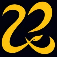 ZiBox  |  زی باکس logo - Similar company to Roshdinvestment